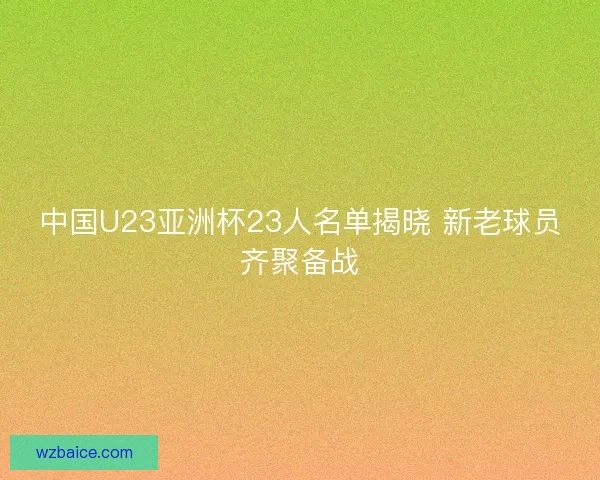中国U23亚洲杯23人名单揭晓 新老球员齐聚备战