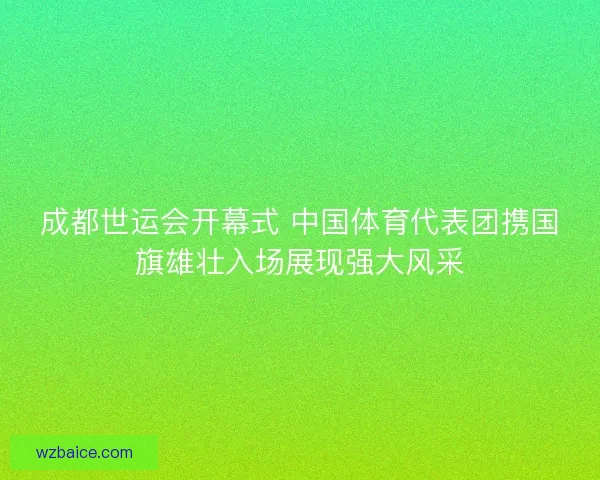 成都世运会开幕式 中国体育代表团携国旗雄壮入场展现强大风采