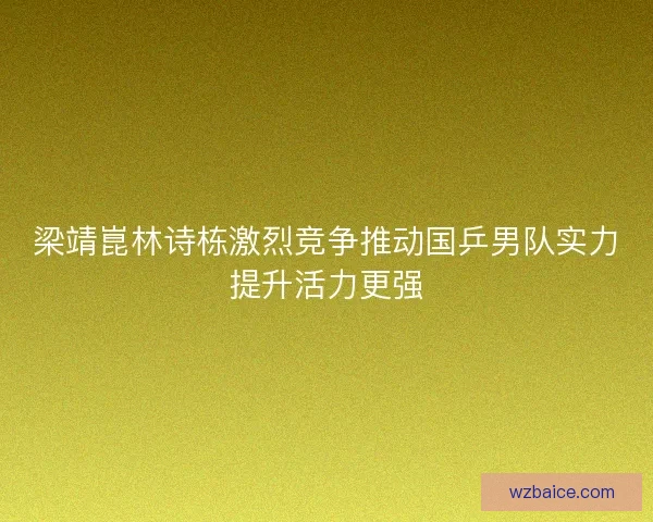 梁靖崑林诗栋激烈竞争推动国乒男队实力提升活力更强