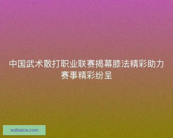 中国武术散打职业联赛揭幕膝法精彩助力赛事精彩纷呈 中国武术散打职业联赛揭幕膝法精彩助力赛事精彩纷呈